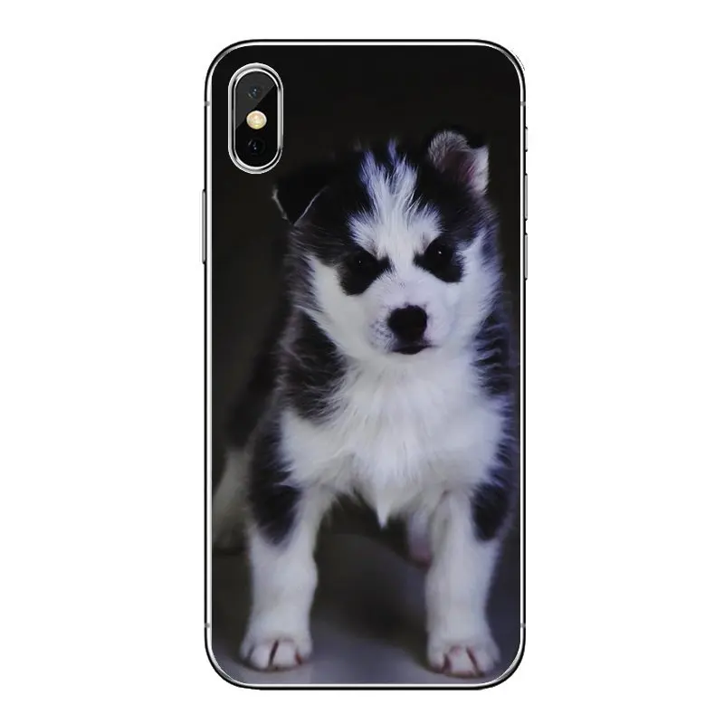 Чехол из ТПУ для Huawei Honor 8 8C 8X 9 10 7A 7C Mate 20 Lite Pro P Smart Plus Siberian Husky Dog puppies Art Poster Pattern -