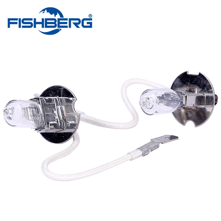 2 шт. галогенные автомобильные лампы H3 12 В 55 Вт 4300K|h3 foglight|h3 8000kbulb h3 |