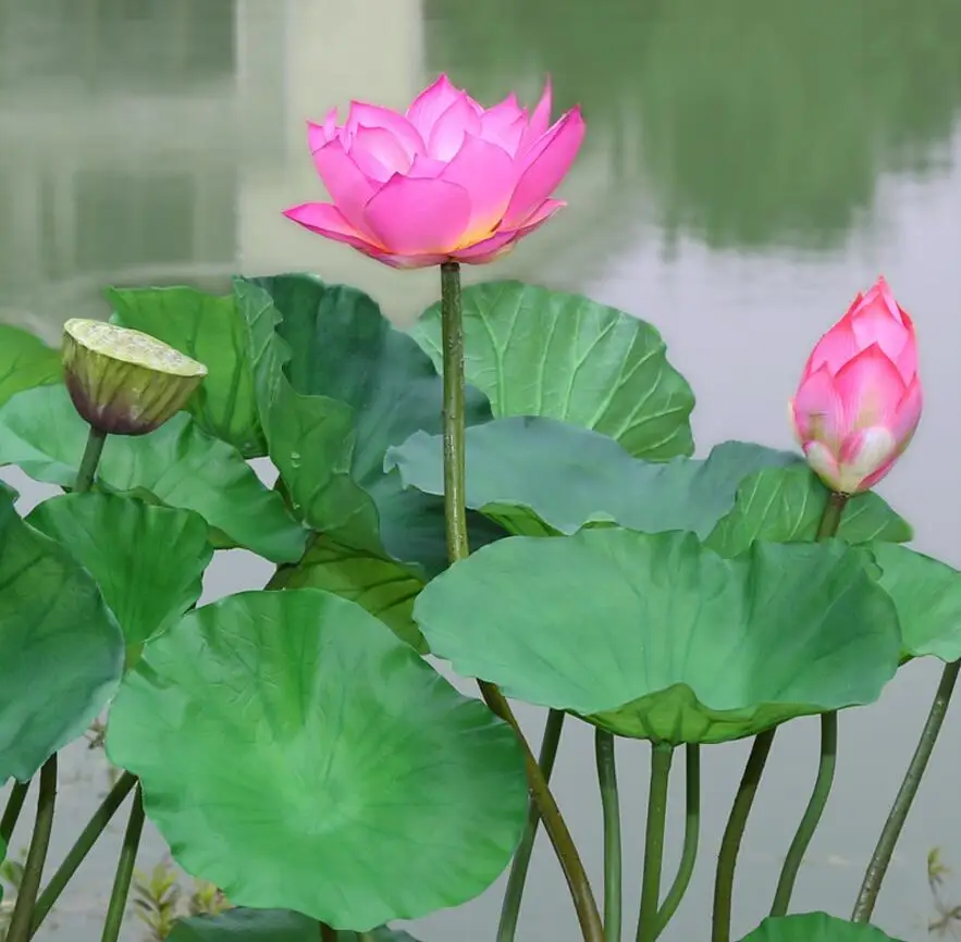 5 шт. из искусственной кожи зеленые листья лотоса листьями для свадьбы свадебный