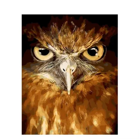 Cioioil-W842 eye of the owl цифровая живопись по номерам Современная Настенная на холсте
