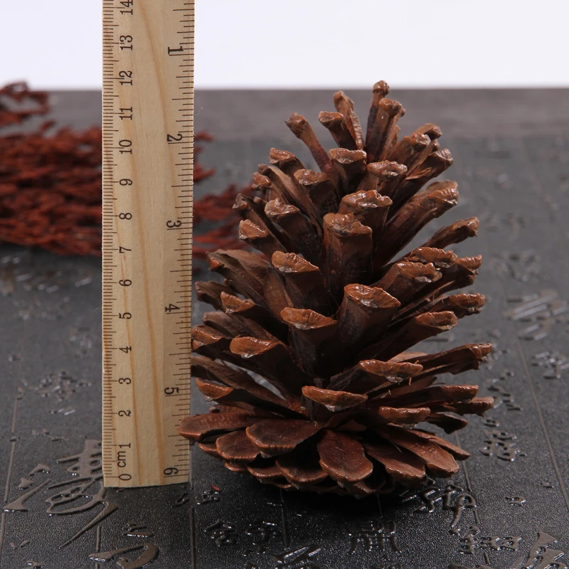 Рождественские натуральные сосновые конусы декор для Pinecone украшение