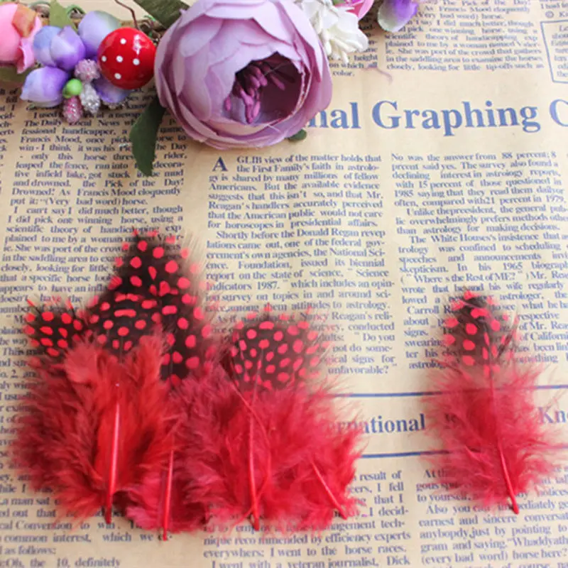 25 шт. перья для курицы 5 10 см|chicken feather|spots feathersguinea fowl |