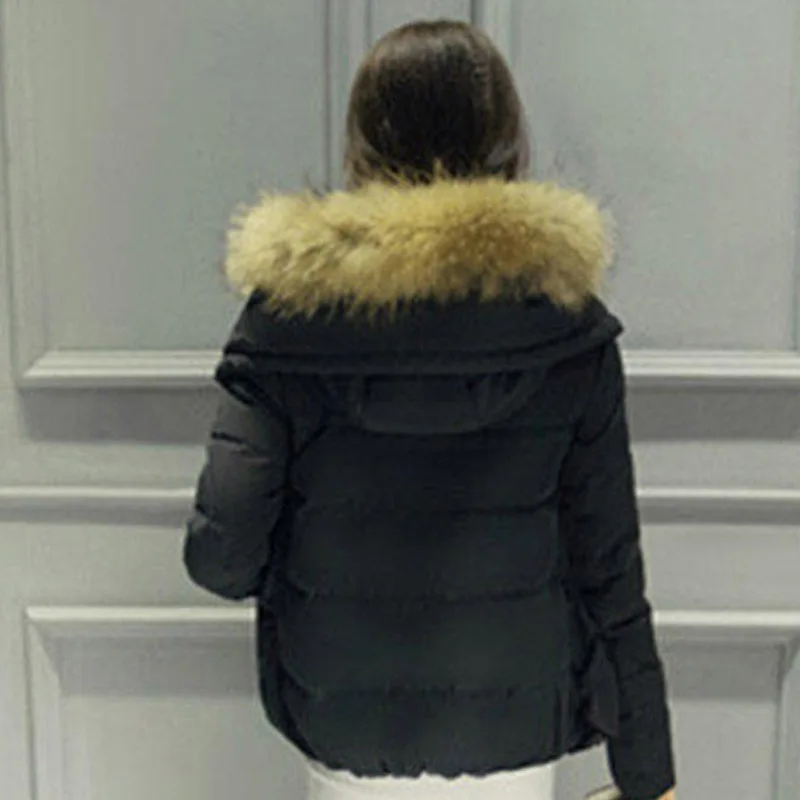 Фото Пуховик женский короткий 2018 женские зимние пуховики короткое утолщение с шапкой Пуховик женский короткий 2018 женские зимние пуховики короткое утолщение с шапкой