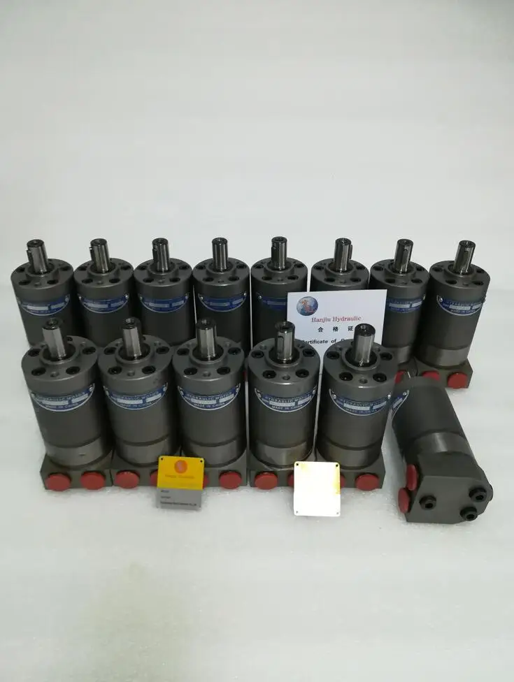 

Applied to Drilling Equipment Hydraulic Drive Motor Oil Motor MM