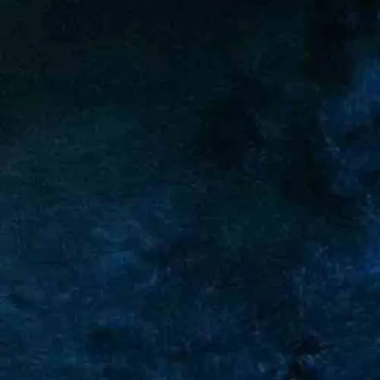 15 Lake Blue Для женщин натуральным лисьим Мех жилет женский всего Blue Fox Мех Жиле полным ходом регулярные покрыта кнопку Дизайн Куртки и пиджаки Пальто - Цвет: 15 Lake Blue