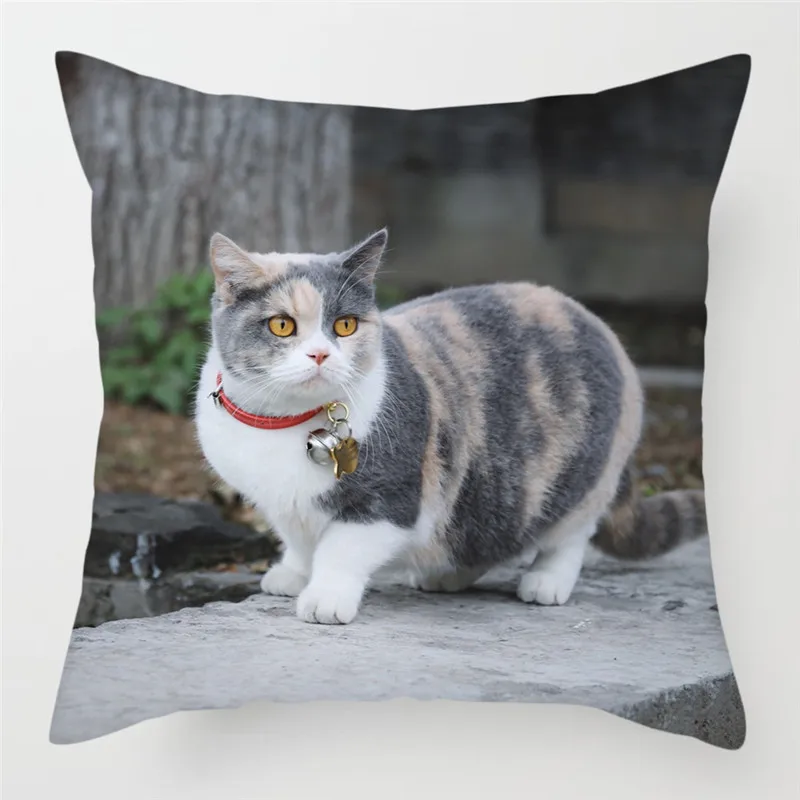 PC07369 Fuwatacchi милый чехол для подушки с кошкой размером 45*45 см канадский голая Наволочки домашние декоративные подушки для дивана, подушка для дома, стула, бросьте, наволочки для подушек - Цвет: PC07369