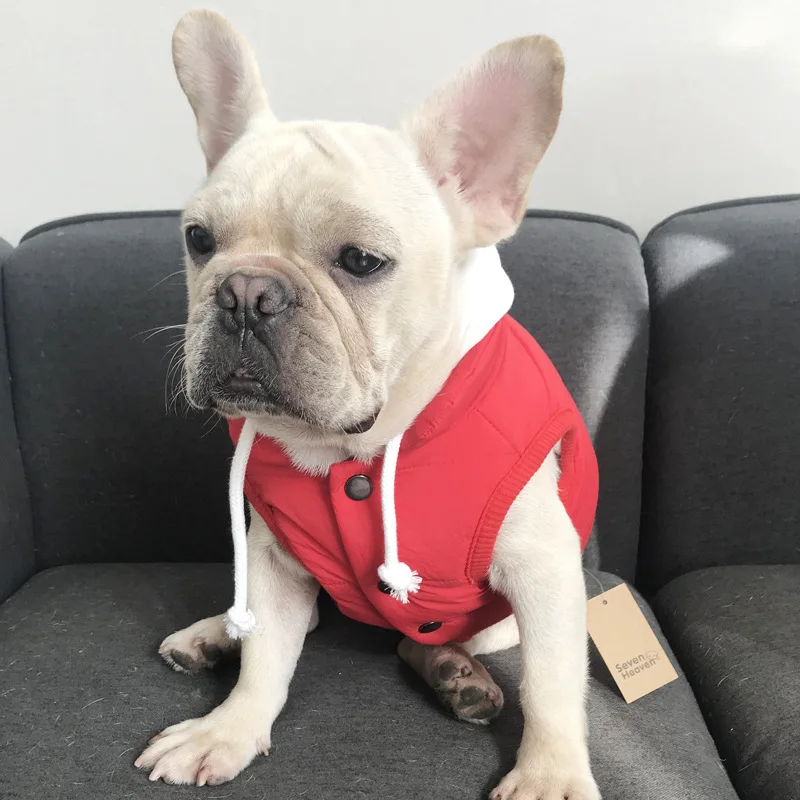 Зимняя жилетка для собак куртка чихуахуа пудель Бишон мопс одежда французская