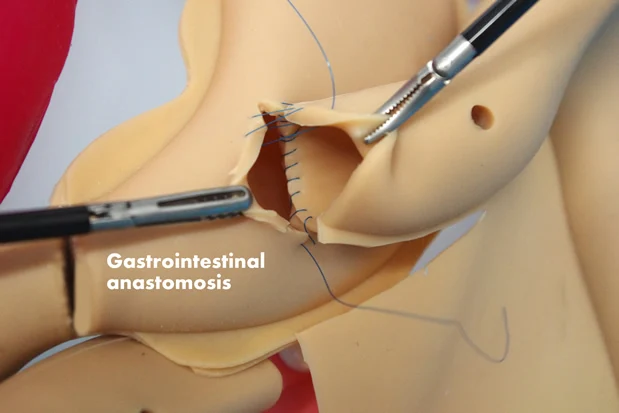 Лапароскопическая тренировочная модель силиконовая Органическая Реалистичная