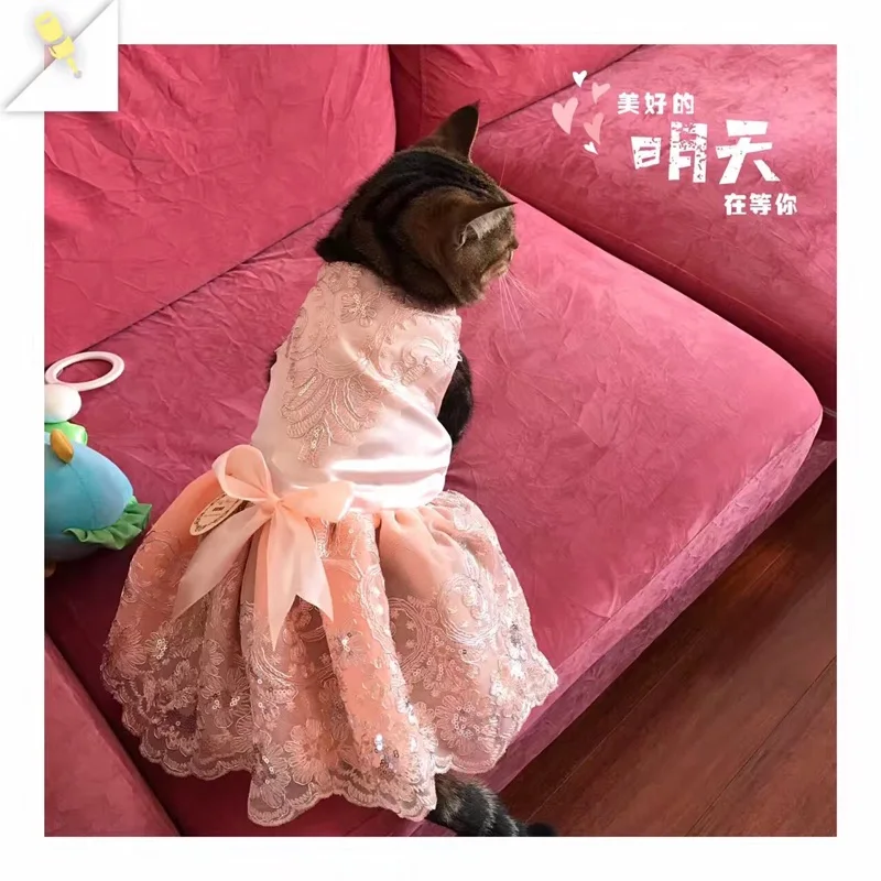 Котенок кошка свадебное платье кружева домашнее животное кошка платья Тюль Тедди с юбкой для маленьких кошек собак XS s m l xl