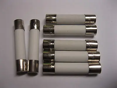 

100 Pcs Fast Blow Ceramic Fuses 8 A 250V 6mm x 30mm