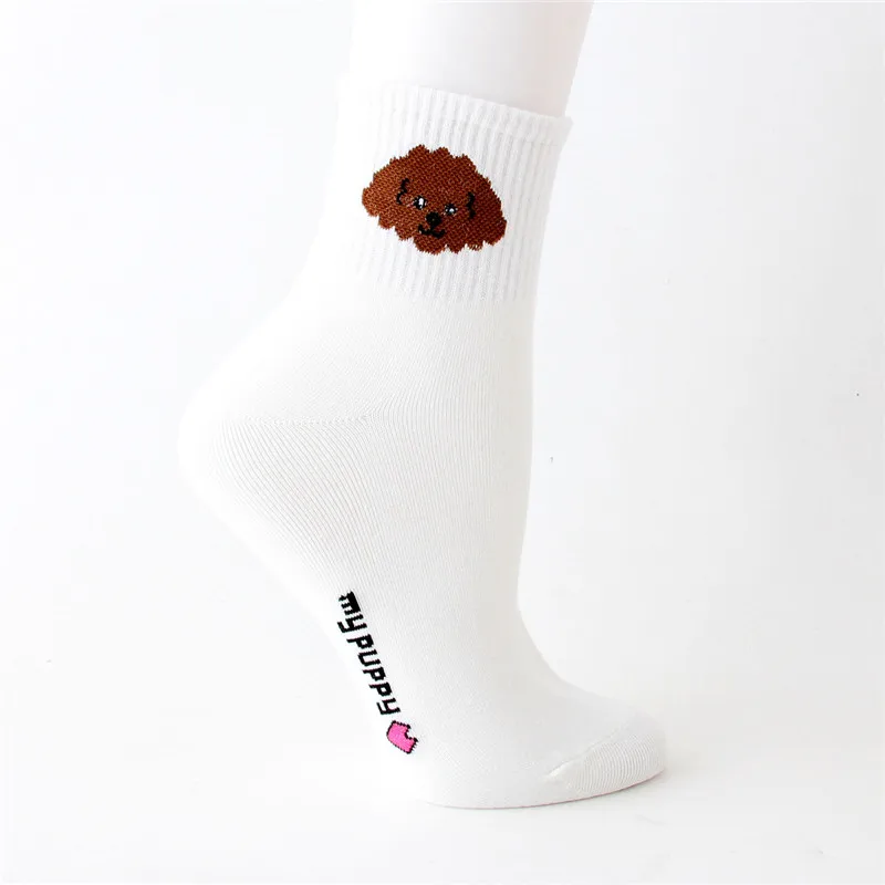 3 Новинка, милые носки с собачкой из мультфильма, Kawaii, женские носки из чесаного хлопка, женские повседневные носки с забавными милыми животными, с рисунком Шиба-ину - Цвет: 3