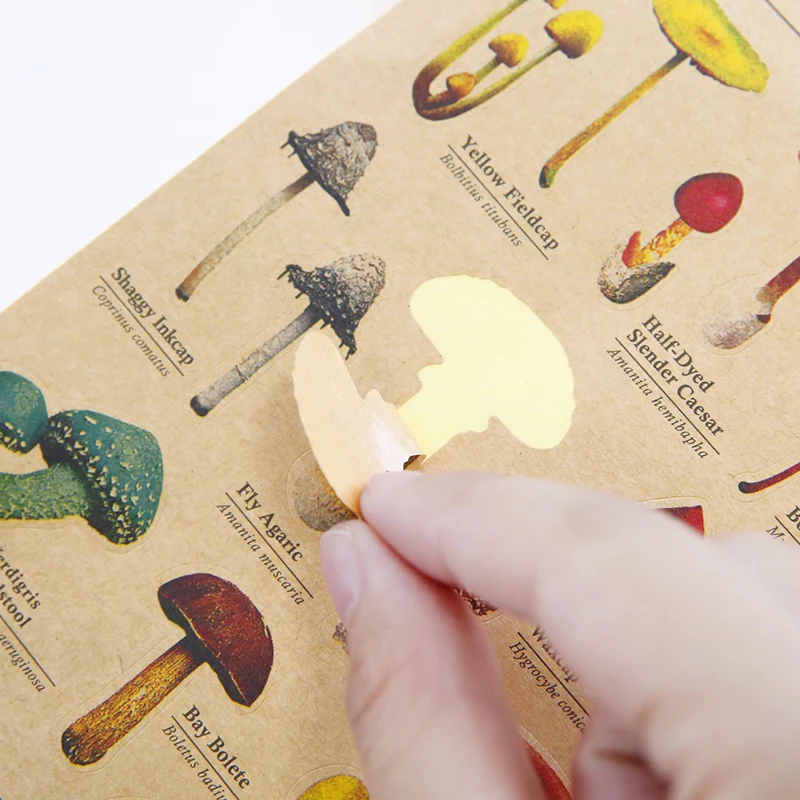 8 шт./лот наклейка из крафт бумаги для обучения фрукты рыба овощи растения