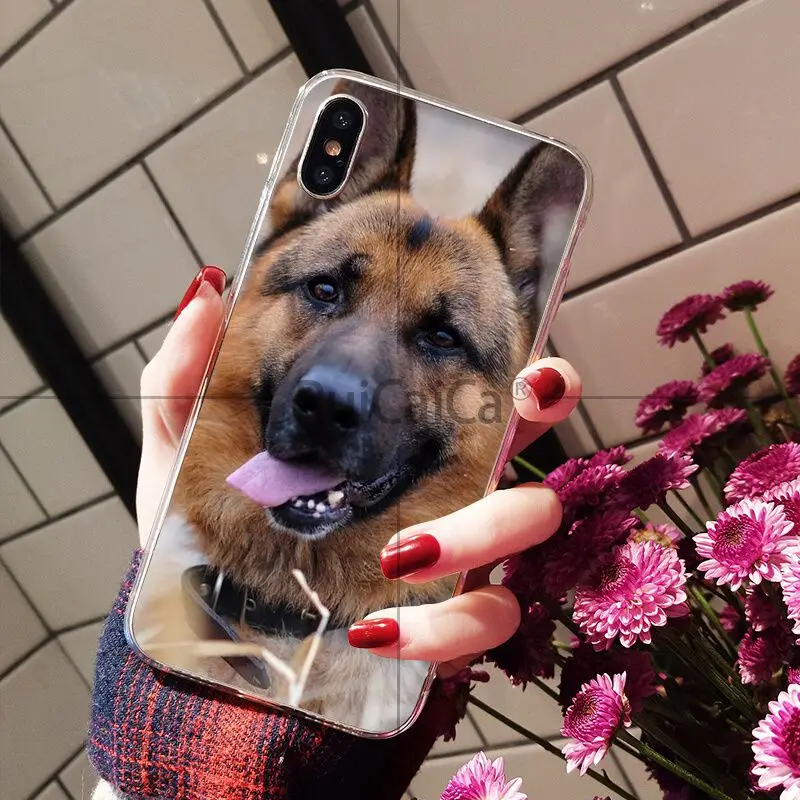 Мягкий чехол для мобильного телефона Ruicaica с рисунком немецкой овчарки Apple iPhone 8 7 6