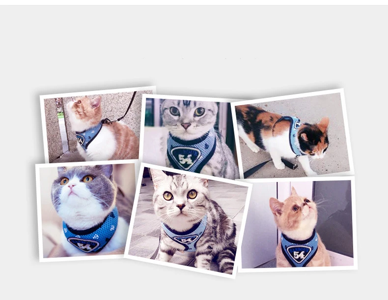 Cat Harness And Leash Set Nylon Mesh Kitten Puppy Dogs Vest Leads Pet Clothes For Small Yorkies Pug | Дом и сад