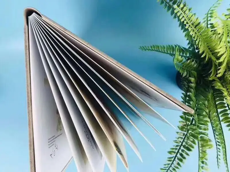 Клейкие ПВХ листы для изготовления альбомов 310x460x0 3 мм 200 шт. фото книжные