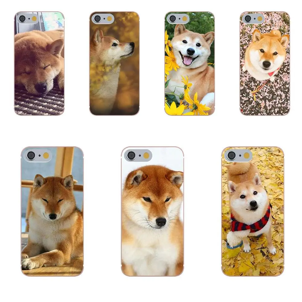 Мягкий чехол для мобильного телефона Tpwxnx P Dog Huawei Honor 4C 5A 5X 6A 6C 6X 7X 9 V8 V10 Mate 7 8 10 P9 P20 Pro