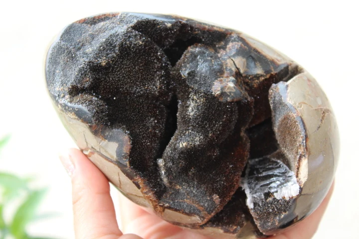 

RARE Large Dragon Septarian Crystal Sphere Geode Egg Healing