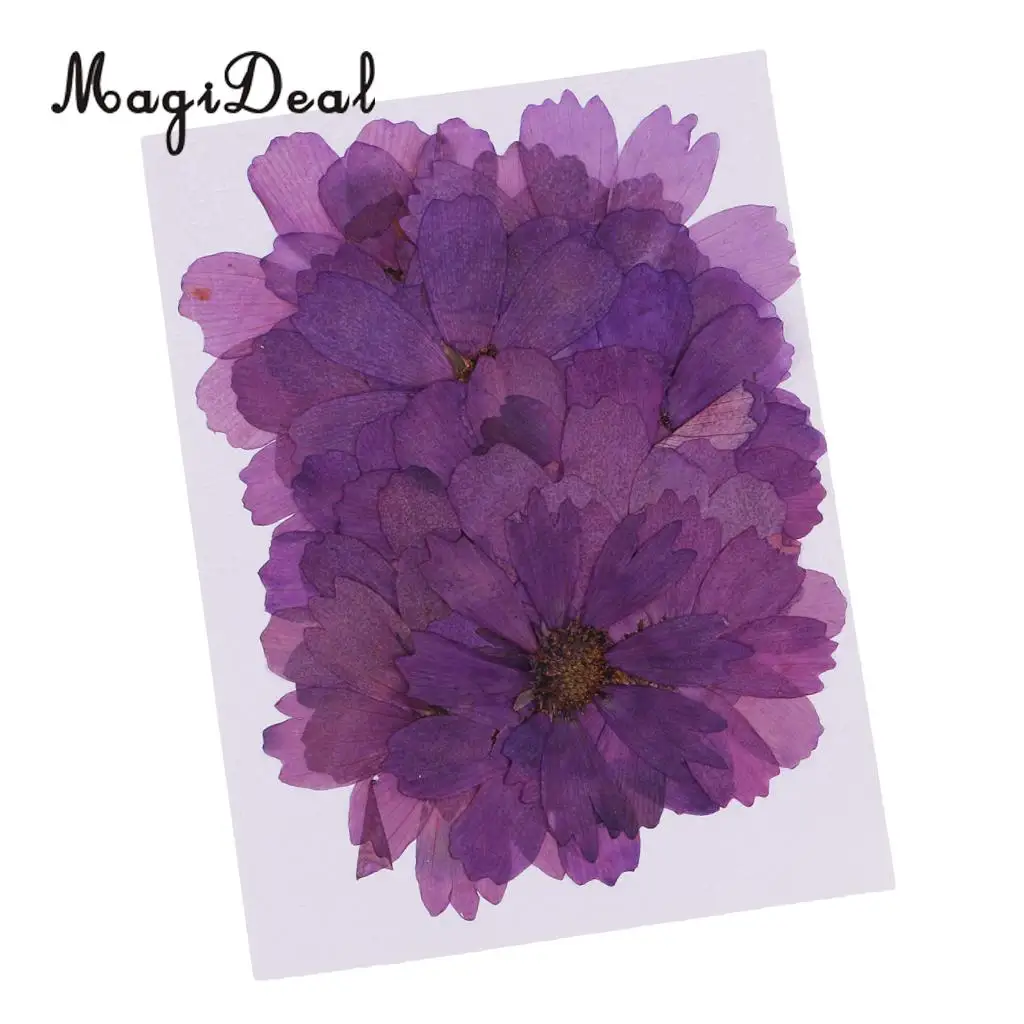 20 шт. прессованные настоящие сухоцветы фиолетовые бусины для изготовления