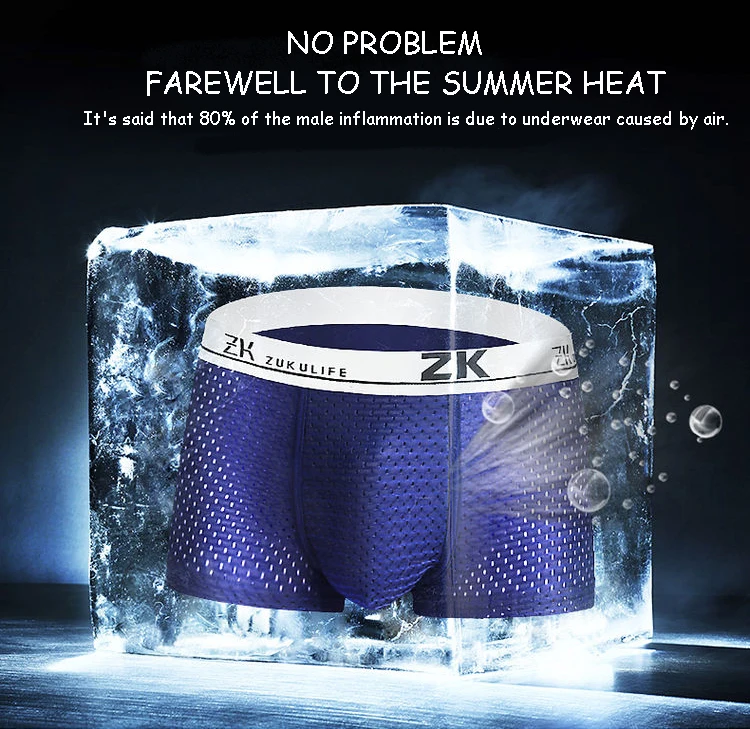 10Pcs/Lot Men Underwear Boxer Shorts Men's Sexy Underpants For Mens Panties Modal Mesh Cuecas Boxer Silk Panties Men Plus Size