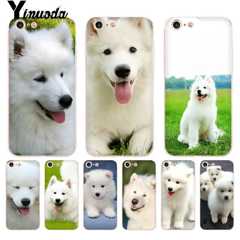 Yinuoda для iPhone 7 6 X Чехол животных Собака самоед щенок Прозрачный чехол мобильного