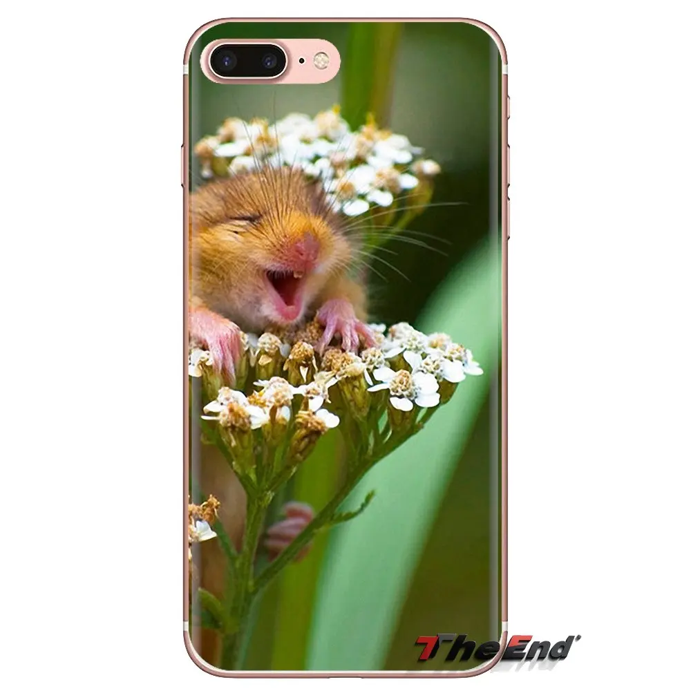 Прозрачные мягкие чехлы для Xiaomi Redmi 4A S2 Note 3 3S 4 4X 5 Plus 6 7 6A Pro Pocophone F1 Rabbit mouse хомяк |