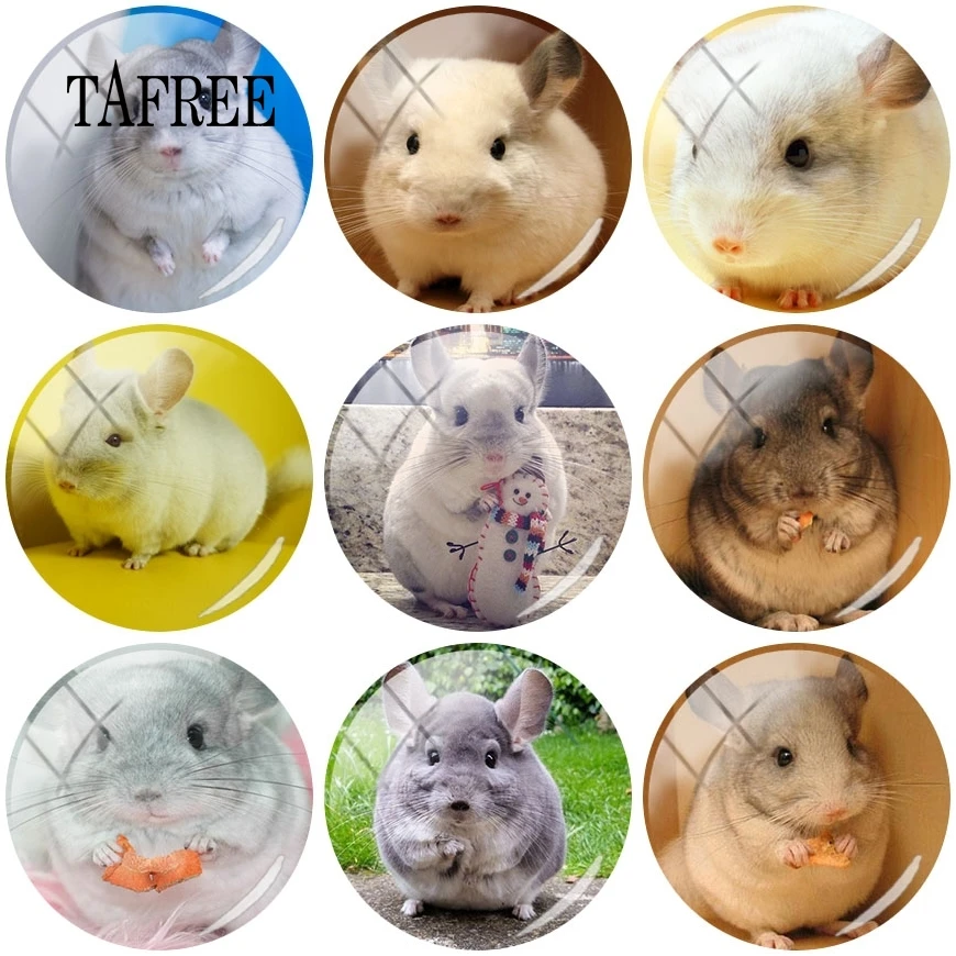 

TAFREE DIY Handmade Glass Chinchilla Image Cabochon 25MM Round Gemstone Flat Back Making Findings Keychain Necklace Accessories