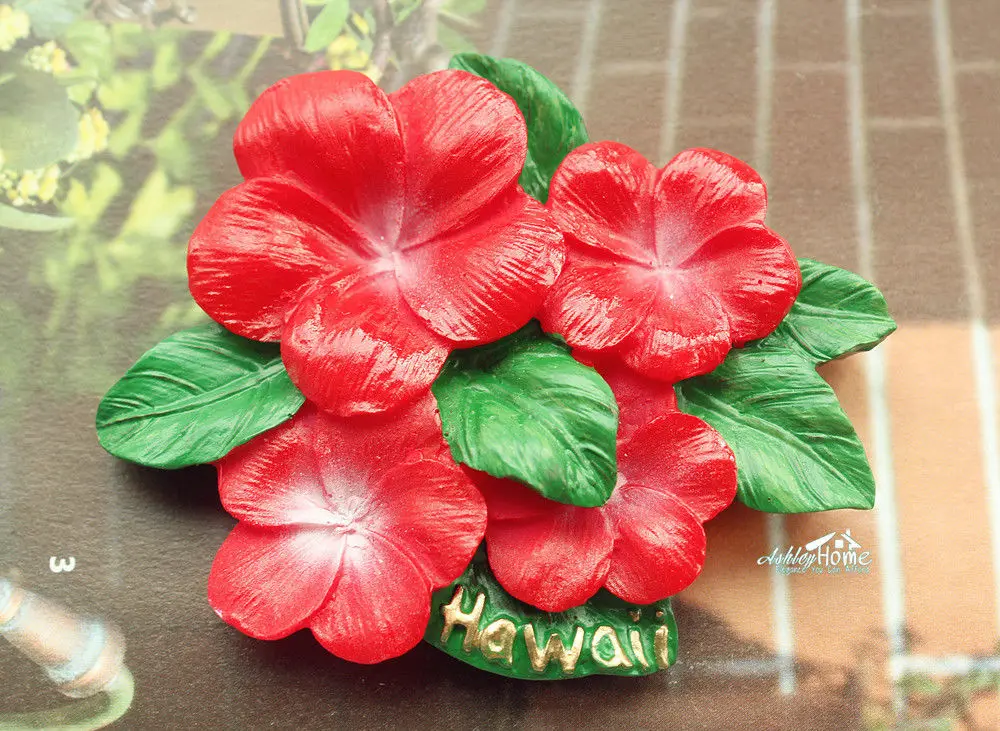 Красный гибискус в Гавайи Соединенных Штатов США сувенир 3D смолы магнит на