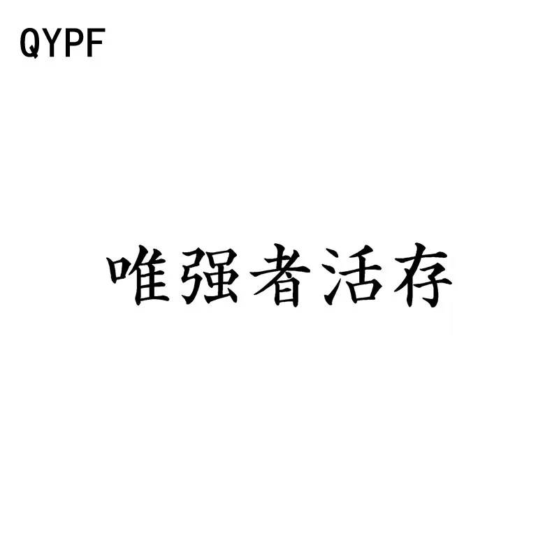 QYPF 16 см * 3 Модный китайский Kanji Выживание единственного сильного винилового