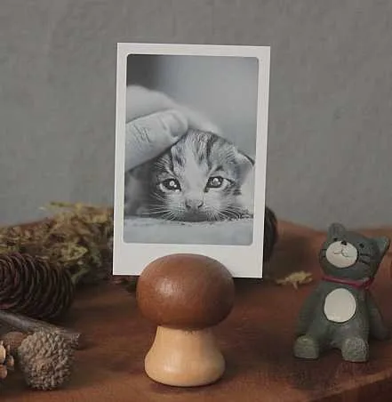 Грибной держатель для карт сообщений фотографий идея украшения дома и