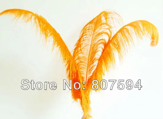 Colorful Long 50 - 55cm Big Ostrich Feathers Plume for DIY Craft Wedding Party Centerpieces Home Decoration 12pcs/lot IF61 | Дом и сад