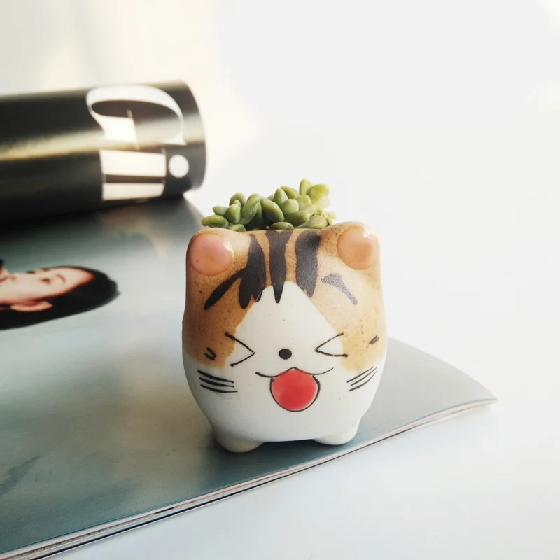 Micro Cute Mini Chis Chi Sweet Home Potted Succulents Small Flower Pots Ceramic Plants Bonsai Planter Home Garden Desktop Decor