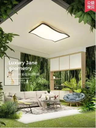 

Living room lamp Simple and modern Rectangular household led ceiling lamp 2019 new curved hall light