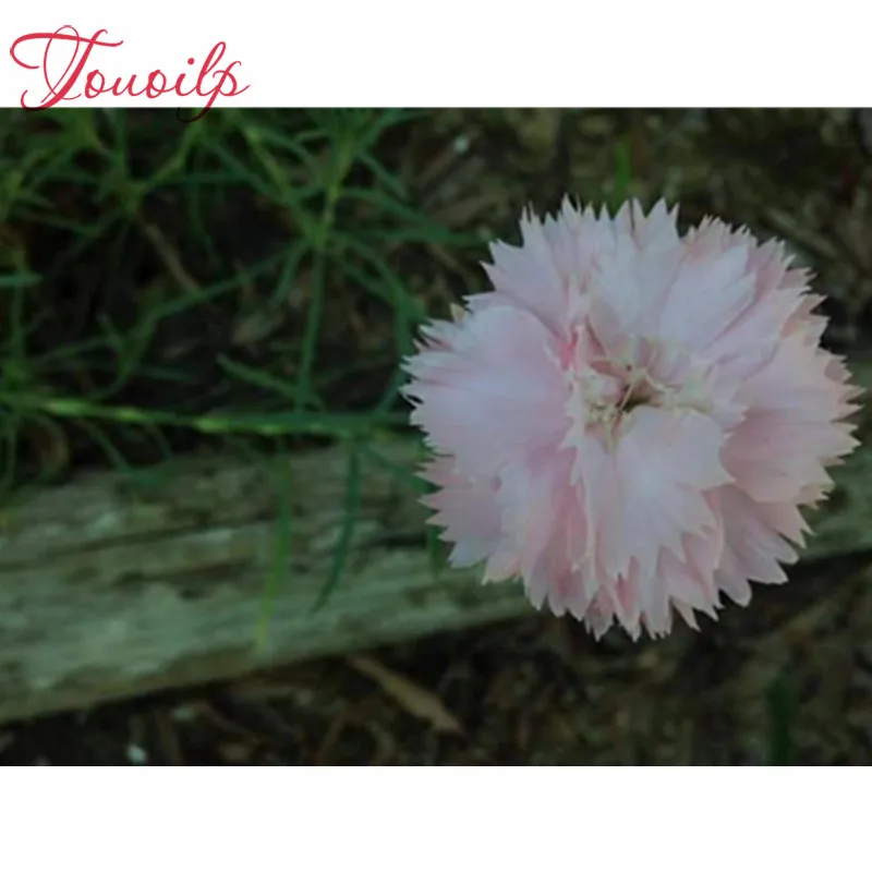 

TOUOILP 100% Полный 5D Diy Даймонд живописи цветок алмазов картина круглые стразы Diamant живопись вышивка пейзажа