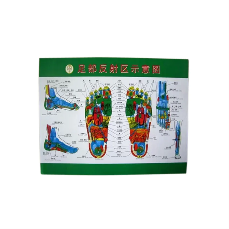 Графики рефлекторные зоны рук ног Уход за кожей лица ухо-акупунктурных точек