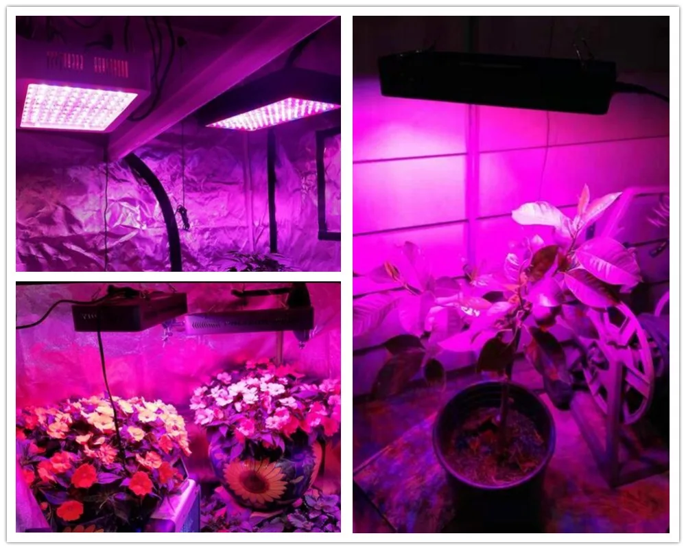 Phlizon 600 w led светать полный спектр красные, синие УФ Крытый цветок светодиодные растущий лампы для расти палатки box гидро