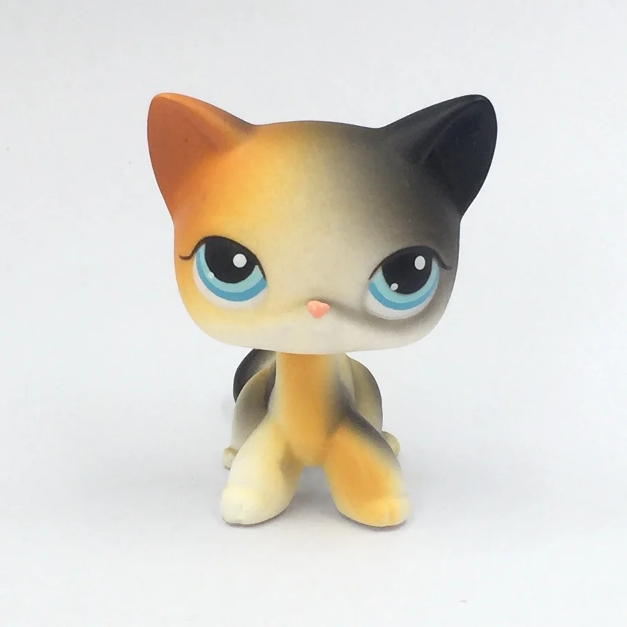 LPS кошка настоящие Редкие игрушки для питомцев короткие волосы #106 оранжевый и