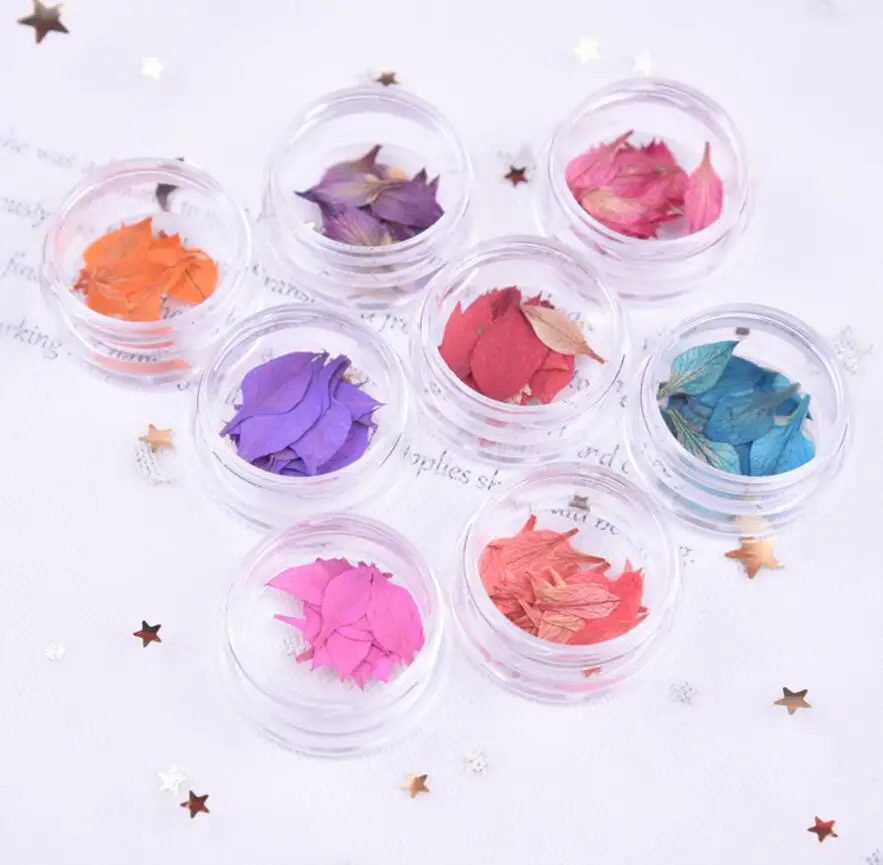 

100pcs Pressed Dried Nigella damascena Flower Petal With Box For Epoxy Resin Jewelry Making Nail Art Craft DIY Accessories