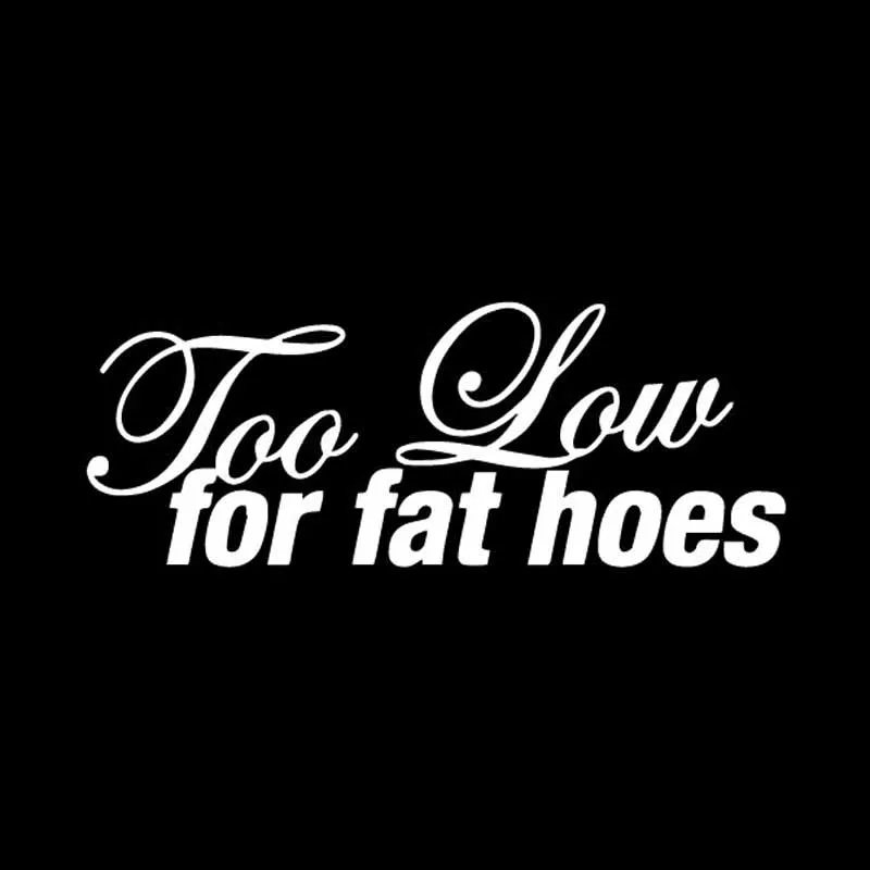 YJZT 13.9X5.3CM Too Low For Fat Hoes JDM Decal Vinyl Car Sticker Truck Window Black/Silver C26-0266 | Автомобили и мотоциклы