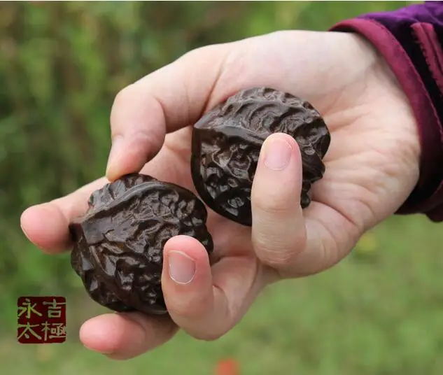 Мужчина держит мяч из орехового дерева твердый орех здоровье массаж Thuja sutchuenensis