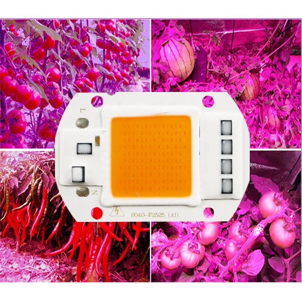 LED Grow COB Chip Phyto Lamp полный спектр AC220V 20 Вт 50 100 для комнатного выращивания растений и