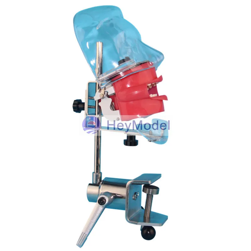 

HeyModel Dental bionic head die system