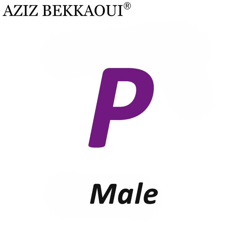 Male P AZIZ BEKKAOUI Лето O-W дропшиппинг любовь подарок пара ювелирных изделий для женщин мужчин Любовь Сердце ювелирные изделия подарок на день Святого Валентина - Окраска металла: Male P