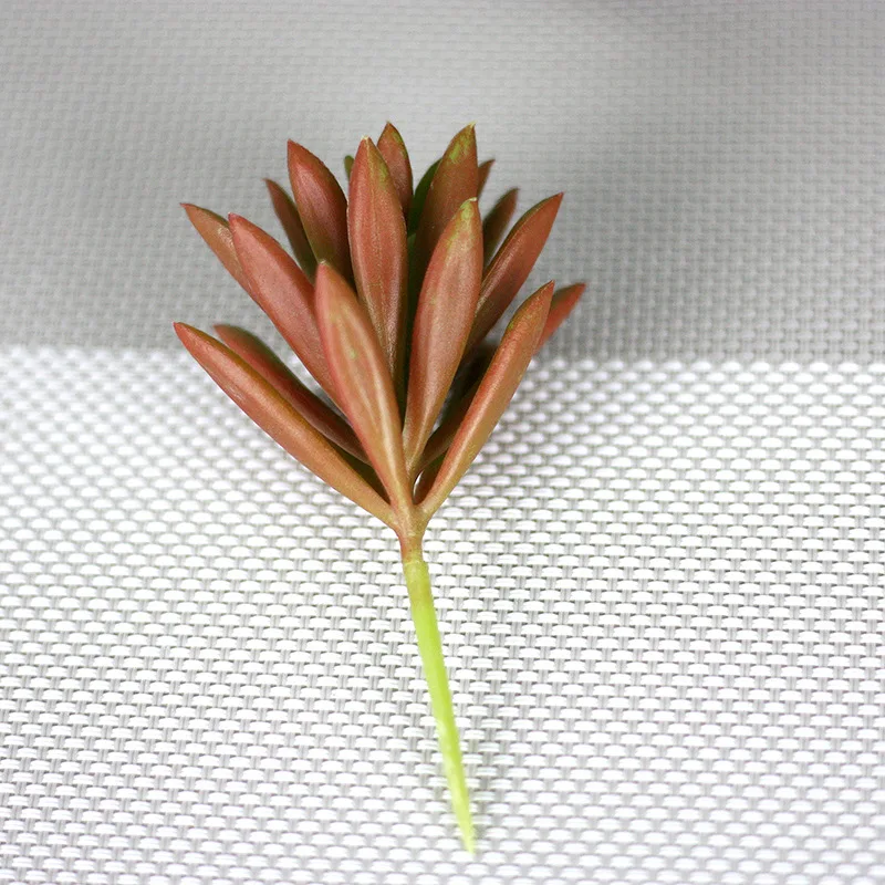 Succulents 5 Искусственные суккуленты растения с цветочным горшком пластиковые поддельные растения настольные бонсай для пейзажа офис украшения сада Офис - Цвет: Succulents 5
