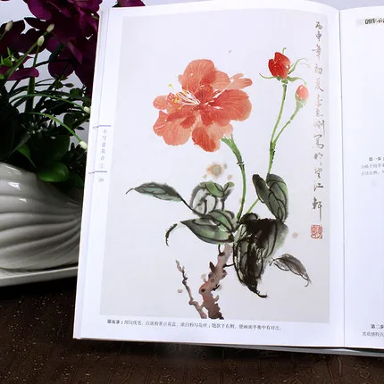 2 шт./компл. Китайская традиционная тонкая линия gongbi biao miao художественная книга