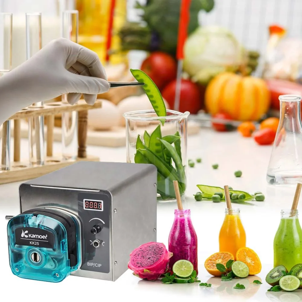 

Peristaltic Laboratory Pump Intelligent Variable Speed Industrial Pump Fully Automatic Cycle High Quality Liquid Dosing LED Pump