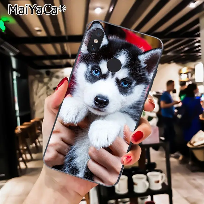 MaiYaCa породы Хаски; милый щенок собака чехол для телефона для Xiaomi Redmi8 4X 6A S2 7A 6A Redmi 5 5Plus Note5 7 Note8Pro - Цвет: A9