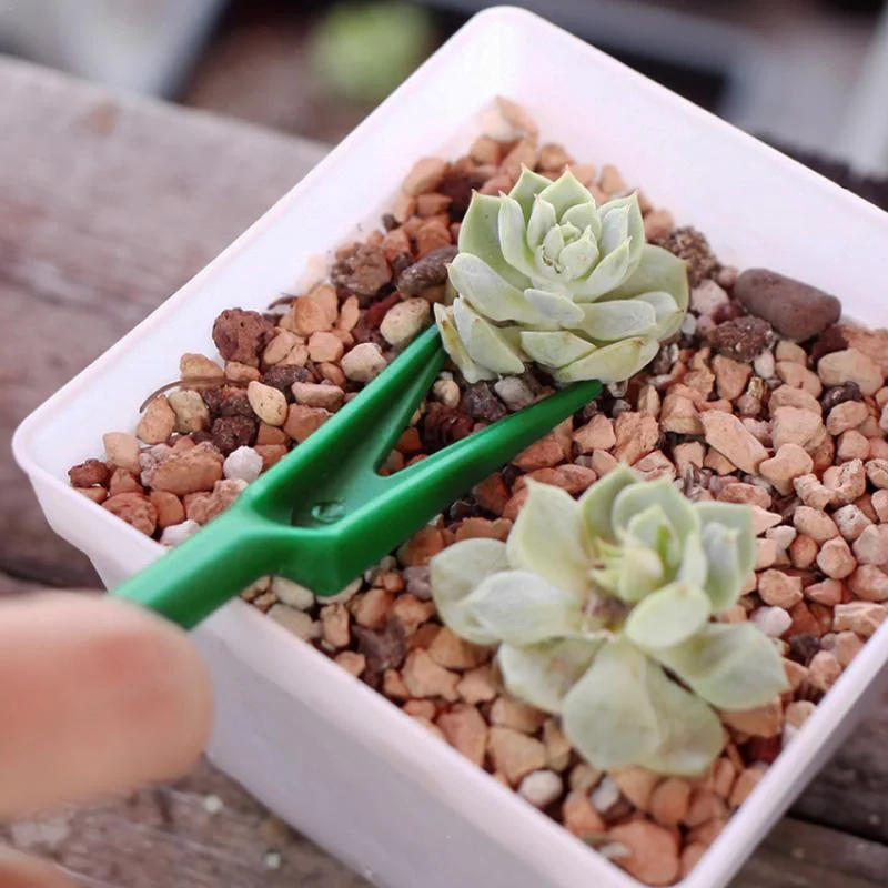 4 шт./компл. набор мини сеялка и инструмент для миграции растений детские