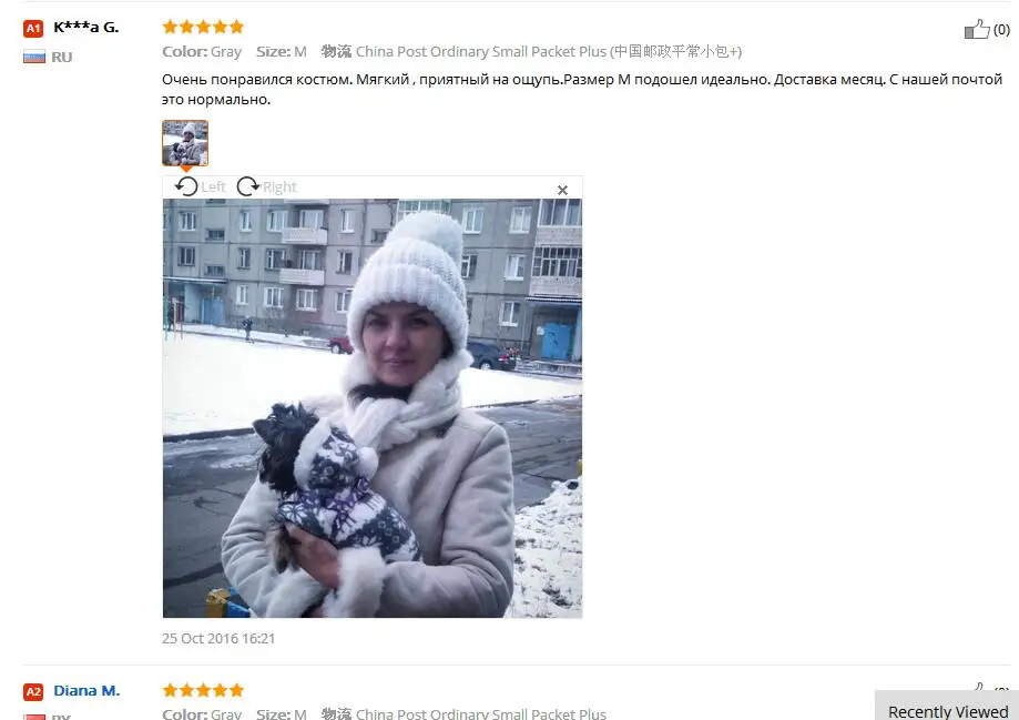Лучшее качество снежинка сибирь зима теплая одежда для собак йоркшир чихуахуа