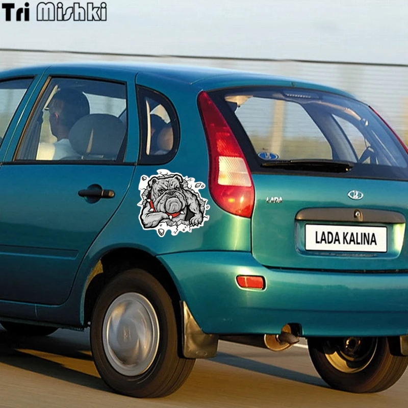 Tri Mishki WCS096 15x14 см Бульдог в стене отверстия забавная наклейка для автомобилей