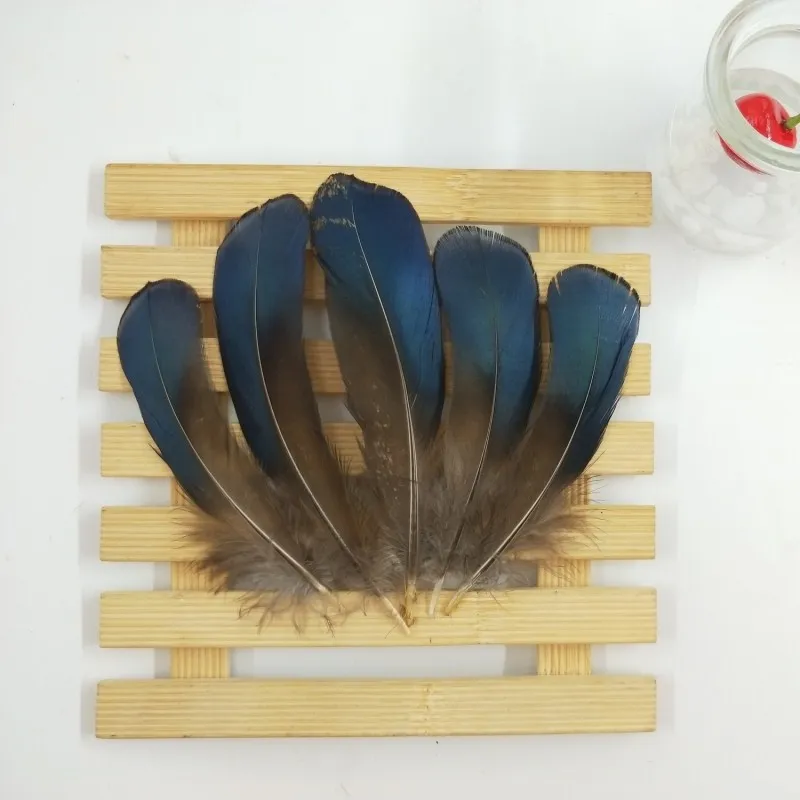 10 шт./лот высококачественные натуральные перья фазана Куриные шлейф Diy Ювелирные